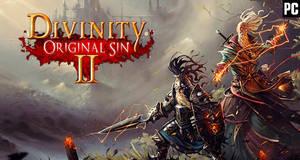 Divinity: Original Sin II - Análisis